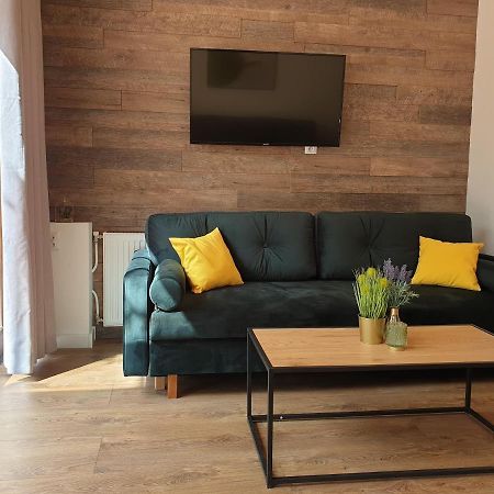 Appartement Apartament Milionova à Łódź Extérieur photo
